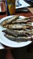thumb_20210722-205519-46153000-e33f6f6dd8706f90edaa35382956a427.jpg (51x90)