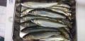 thumb_20210722-214538-12322500-24bc61fe1bbc12e150cdc38097a068ae.jpg (120x58)