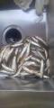 thumb_20210725-183701-39399500-4625814dac923472798a476e304414cf.jpg (45x90)