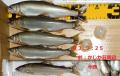 thumb_20210725-214118-35836000-65d059c2afca7de06a069ed44786c116.jpg (120x76)