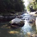 thumb_20210731-072408-90234600-101333bb8aa6340aa459af22246bd7b6.jpg (90x90)