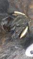 thumb_20210801-173827-42249600-4fbf4e14087b6d44c687294dfa0c2266.jpg (51x90)