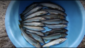 thumb_20210802-101134-19949700-efdc04dd945a9694e9ee36e302af2bcb.png (120x68)