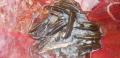 thumb_20210806-064415-54615600-38bf2d2c1372988b3ec34c2fe961daf3.jpg (120x58)