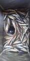 thumb_20210807-183030-76122600-74ea01eae95caae04d382580f8839b63.jpg (45x90)