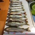 thumb_20210808-193739-24654100-94f8d94d9ae7c1ea2cd47b4205731f98.jpg (90x90)