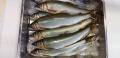 thumb_20210828-163717-24496900-6f2e5e02bb01a295b68c993c25bbd8ea.jpg (120x58)