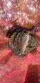 thumb_20210828-184506-89148800-499ce4fa77152175bf5d16ea53ce3eac.jpg (44x90)