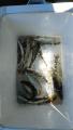 thumb_20210829-004023-94370700-f2f50a620afd14c14cff101443c8f84f.jpg (51x90)