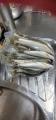 thumb_20210829-203907-48291700-523cc831b0f6c4d9aef0f5db7dff0b2d.jpg (42x90)