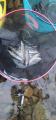 thumb_20210911-214736-87166000-8ef112b64377c17614a8c51f8fa0aedb.jpg (42x90)
