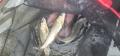 thumb_20210912-184938-44130700-5b4fbcbb5a9ee6282103727371d61bfb.jpg (120x56)