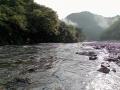 thumb_20210918-063247-34356100-2cbe3b033694eaa3f4138e05d196a371.jpg (120x90)
