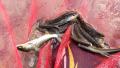 thumb_20210919-220956-99655000-3ffba37c3a45aecd53dd6e1a1780e591.jpg (120x68)
