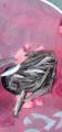 thumb_20210921-220734-79277400-65667cd3a3313a98257ea8dfd01fba70.jpg (42x90)