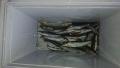 thumb_20210925-000256-65154900-cd50c8259af8d564445304cecdaceb67.jpg (120x68)