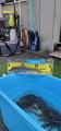 thumb_20210925-202450-41119600-366e2176ce40df281aaa3b8fe107c3e7.jpg (42x90)