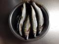 thumb_20210928-183213-74479000-20f25596acef57d4e6c639ad2dc6e34b.jpg (120x90)