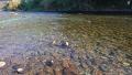 thumb_20211003-155543-98545000-8732b01aa3695427efa8c746642ceeb0.jpg (120x68)