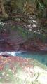 thumb_20211004-193841-43712900-e8c13d0dbb04a1563a3cd371b3e9e892.jpg (51x90)