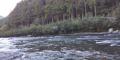 thumb_20211005-222537-84501500-d2e8efbdbf7ef3529d0745154d2a02ed.jpg (120x60)