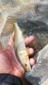 thumb_20211007-174041-18912200-25300920ca741f033c73034370c5a44c.jpg (51x90)