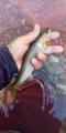 thumb_20211023-230507-22106200-5b5413f36142819bc2125b7da42370f0.jpg (45x90)