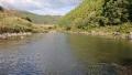 thumb_20211024-053438-49042600-0523d53681376cdcc4ca479daec86cc1.jpg (120x68)
