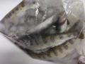 thumb_20250417-200128-70720100-5980b7310be844123aa57bbcbda0c16f.jpg (120x90)