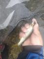 thumb_20250503-202313-37337700-e8820c265a69f8732fb3ca02d5b3f4c1.jpg (68x90)