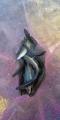 thumb_20250504-220029-50916600-354d26865a85deebdc9049fd25775706.jpg (45x90)