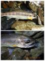 thumb_20250508-193324-73296100-b664c2e6ce50a5615895bf50cd6727b1.jpg (68x90)