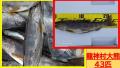 thumb_20250515-023457-79995900-670f592ead3d2d1ce13ad4b0655480c7.jpg (120x68)