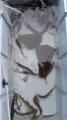 thumb_20250516-203842-70005800-613fb2102bb7f0450f526139efdfcacc.jpg (51x90)