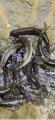 thumb_20250518-194355-26415400-cdb92d6802cebac37bff7b4bc41001c2.jpg (42x90)