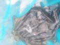 thumb_20250518-203430-24370800-abdf0af0a7553e5235af8f83e32ccaad.jpg (120x90)