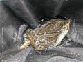 thumb_20250607-200605-60292700-6afaff4579ecaa2c5eb0a3cabf979031.jpg (120x90)