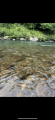 thumb_20250702-235339-99587600-2e0cb0bbff2ac65d923a922466e18c32.png (42x90)