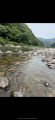thumb_20250703-082846-20637300-20a44641b6b59dbba0d3e531fecab982.png (42x90)