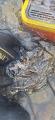 thumb_20250706-101329-97497000-f1b6e24a73e7e4f6724a1d9c57d1dc0d.jpg (42x90)