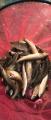 thumb_20250716-182551-68198000-6fd857a9ab91249be56cb70ea09e9e17.jpg (39x90)