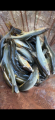 thumb_20250720-203929-28931700-c729e7bd5b54017a1c6260ae803b0ad6.png (42x90)