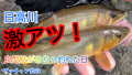 thumb_20250802-203251-31197700-32aee78f38bdc1105300c5e8320500a0.png (120x68)