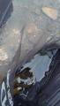 thumb_20250803-203758-44987600-aec218bed7766986b236927c944caa73.jpg (51x90)