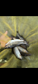 thumb_20250813-183203-37649300-7f1a1a3b6f60c357d1efd050f5b28f6c.png (42x90)