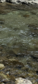 thumb_20250815-163206-68436200-182f922afc8992db175904252058c431.png (42x90)
