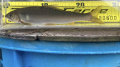 thumb_20250820-165752-70113600-6fee46de3e4e37a4a4fd9c7479f627cb.png (120x67)