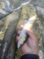 thumb_20250822-103013-32624900-094992ad5ac7dd9753cfa7b047d6615b.jpg (68x90)