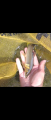 thumb_20250825-204150-69976800-9d2c00c1902576c9033d70753df22ce0.png (39x90)