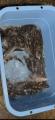 thumb_20250828-231907-17969800-fe2a46bd7b3207041b28fbbfad6f9e67.jpg (42x90)